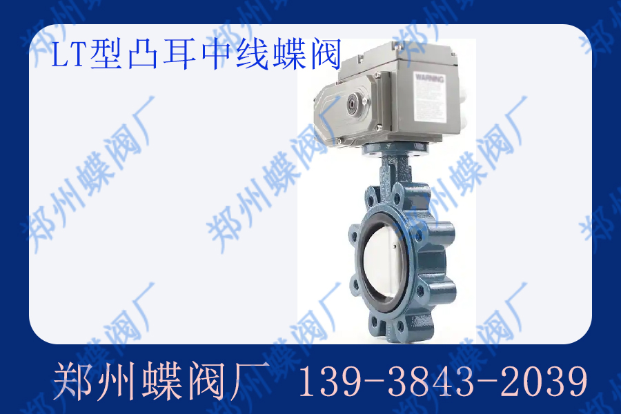 凸耳蝶閥的凸耳有哪些類(lèi)型？